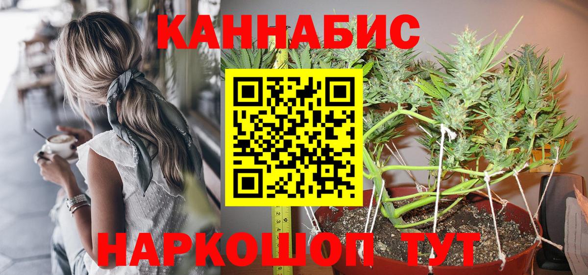 Каннабис OG Kush  Вход с VPN  Каннабис AK-47  Знаменск 